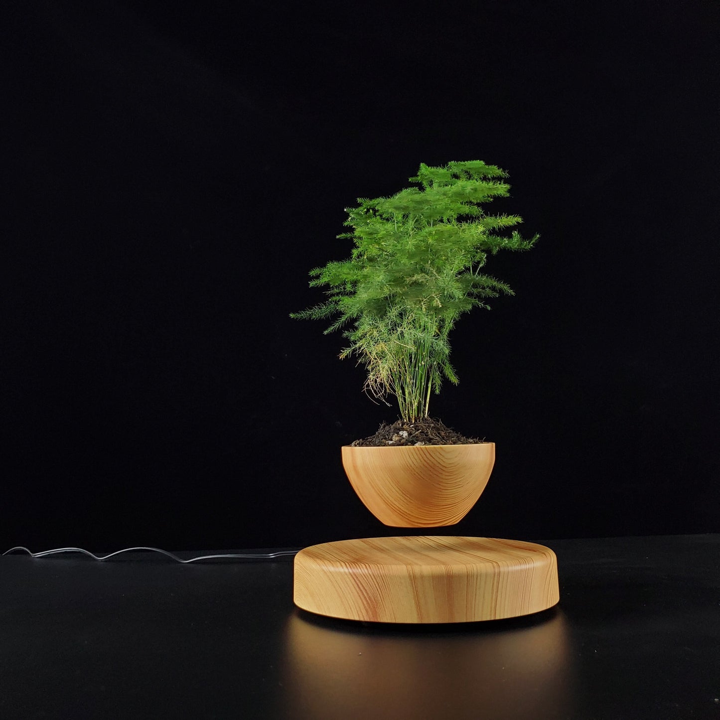 Creative Floating Plant Pot