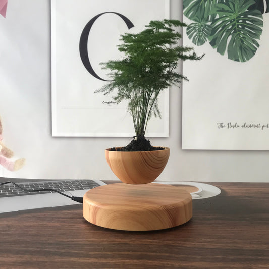 Creative Floating Plant Pot